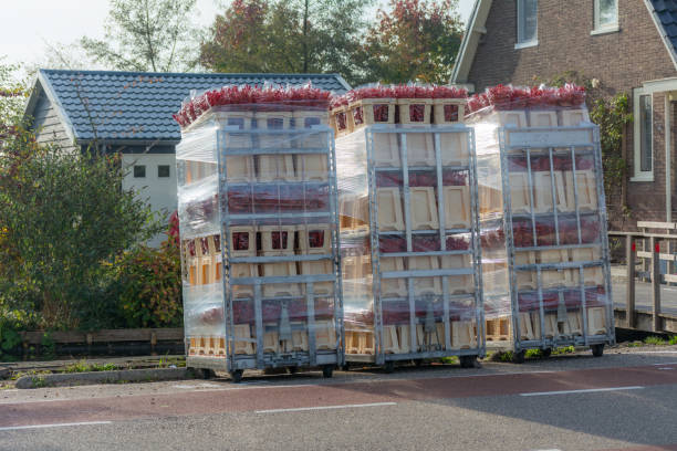 Road Freight Services